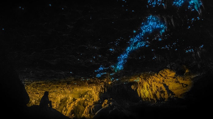 men, dark, rock, Inside, New Zealand, landscape, blue, glowworms, cave, photography, nature, shadow