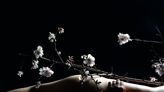 plants, model, girl, black, black background, simple background, flowers