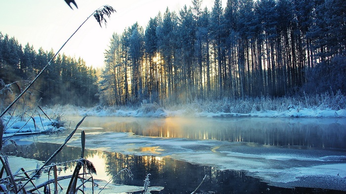 landscape, nature, winter