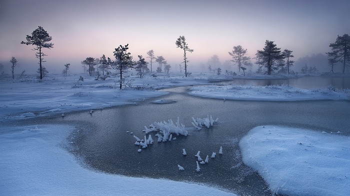 winter, cold, trees, calm, snow, nature, landscape, river, Estonia, frost, mist