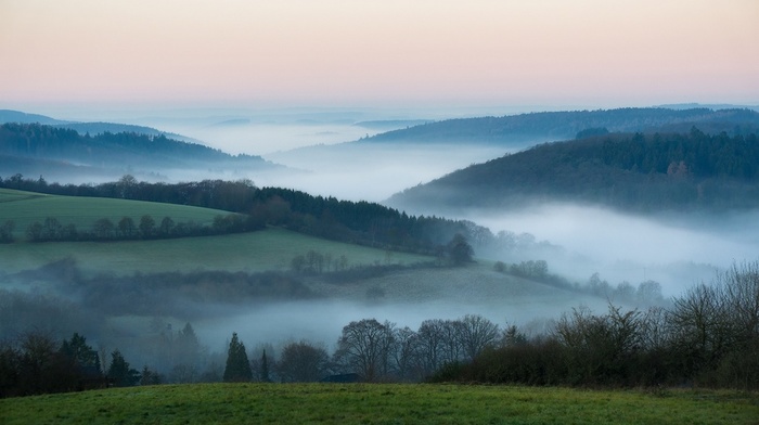 hills, Germany, morning, nature, trees, landscape, mist, photography, field