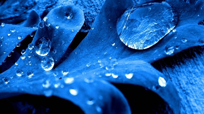 blue, water drops, photo manipulation, leaves, photography