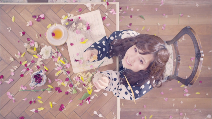 dress, girl, flower petals, top view, smiling, Nogizaka46, sitting, brunette, looking at viewer, Asian