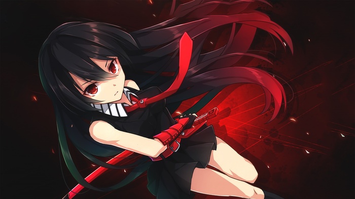 Akame ga Kill, long hair, anime girls, Akame, sword, anime, weapon, red eyes