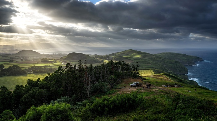 landscape, nature