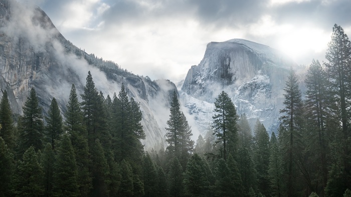 landscape, nature, Yosemite National Park