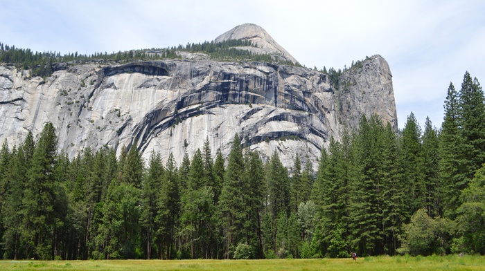 Yosemite National Park, nature, landscape, yosemite valley