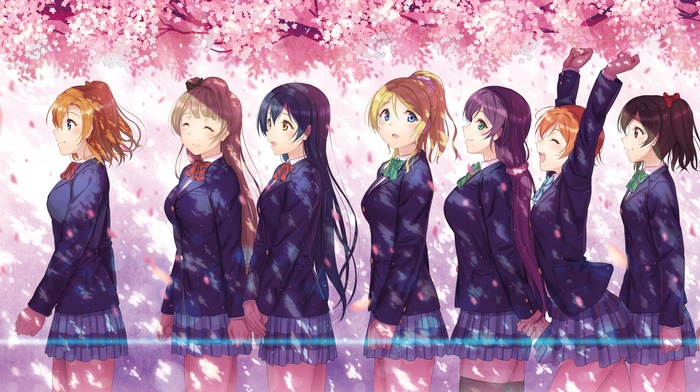 cherry blossom, anime, Ayase Eri, Nishikino Maki, Sonoda Umi, Toujou Nozomi, Yazawa Nico, school uniform, Hoshizora Rin, Kousaka Honoka, Minami Kotori, Koizumi Hanayo, anime girls