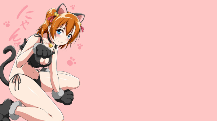 cat girl, Love Live, cat keyhole bra, anime girls, anime, Kousaka Honoka
