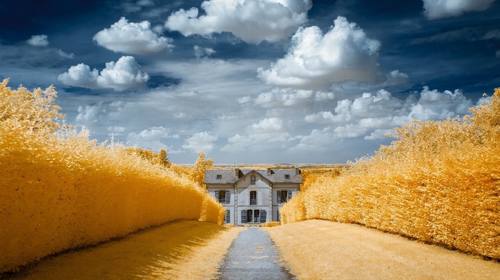 house, field, clouds, yellow