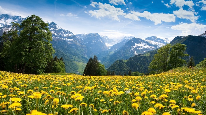 mountains, nature, sky, yellow