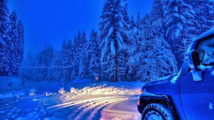 snow, winter, forest, sky, car