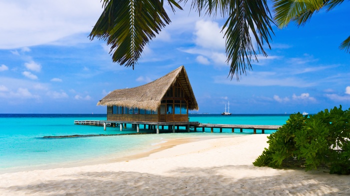 beach, water, sky