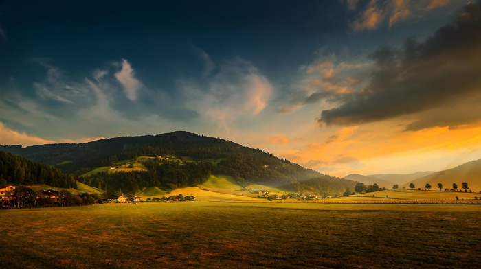 sky, forest