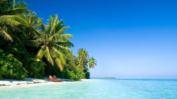 sunbed, sky, sea, palm trees, beach