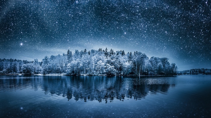 winter, sky, water, forest