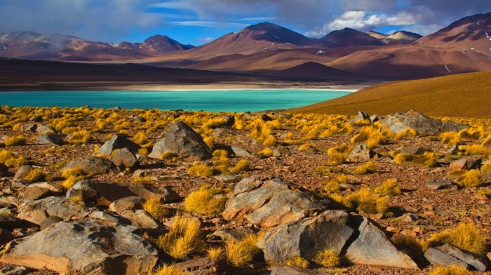 mountains, Chile, nature, Atacama Desert, landscape, photography, shrubs, lake