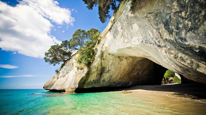 landscape, trees, rock, sand, New Zealand, clouds, cave, sea, beach, nature, photography