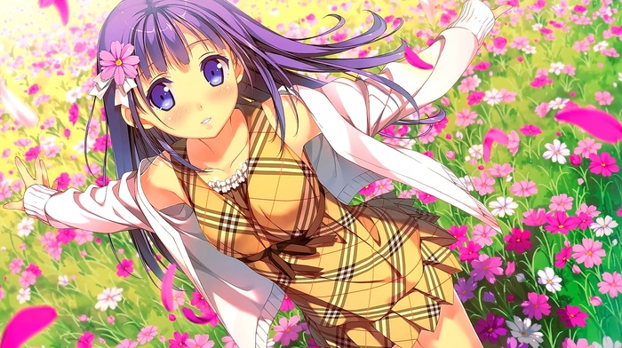 original characters, field, anime girls, hair ornament, Kantoku, Afterschool of the 5th year, anime, flowers