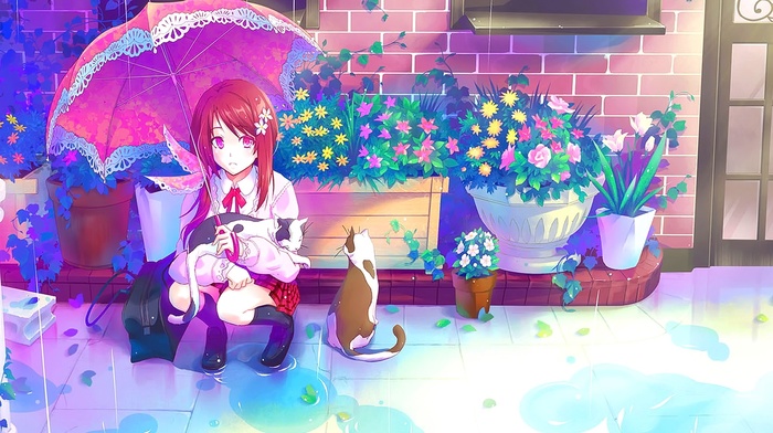 original characters, flowerpot, plants, flowers, puddle, umbrella, cat, anime, bricks, anime girls