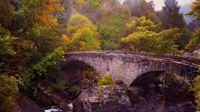 trees, Scotland, bridge, nature, river, landscape, old, stone