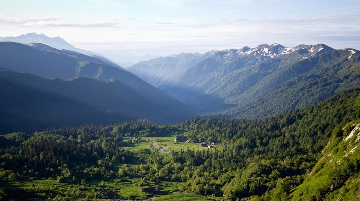 landscape, trees, nature, mist