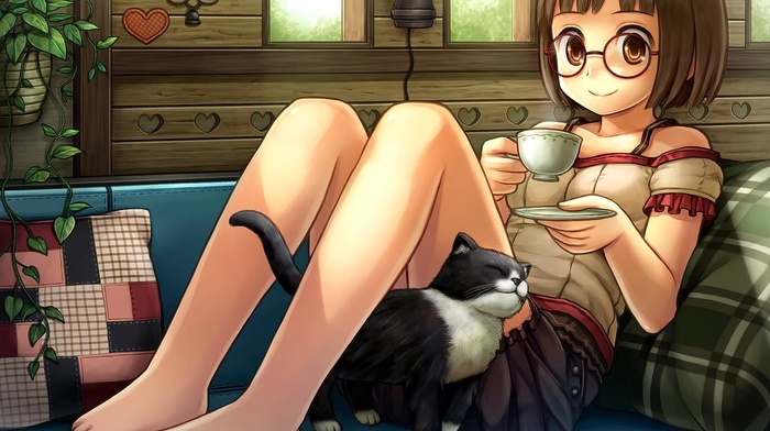 anime, cup, glasses, meganekko, original characters, anime girls, couch, cat