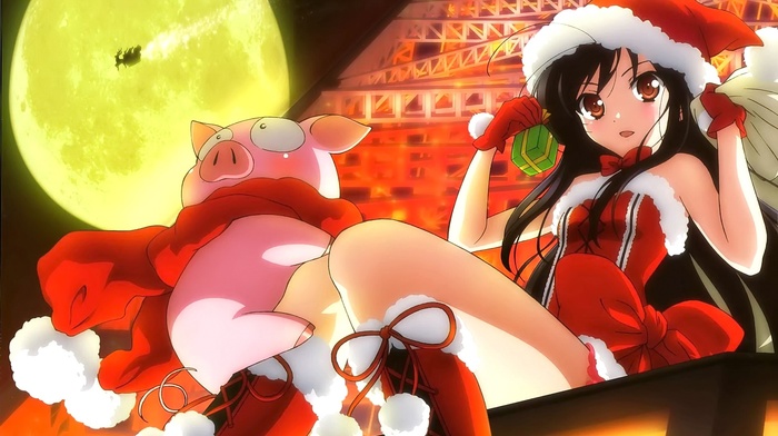 anime, Christmas, Accel World, moon, pigs, Kuroyukihime, anime girls