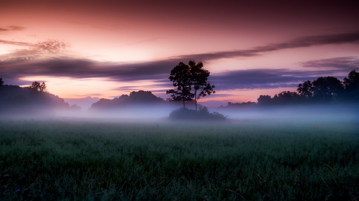 photography, field, clouds, mist, shrubs, nature, landscape, sky, sunset, Norway, trees, pink