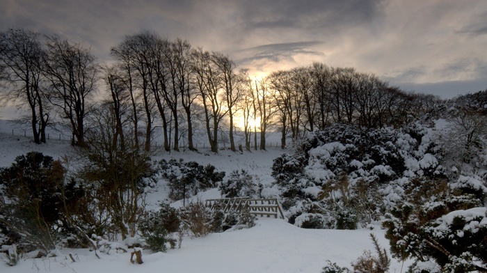 nature, landscape, sunset, snow