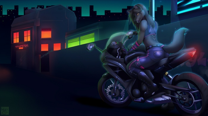 motorcycle, Anthro, furry