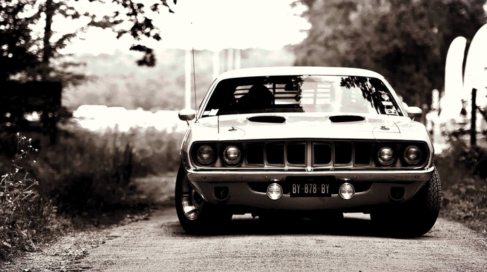 71 cuda, Plymouth Barracuda, car, Hemi Cuda, Plymouth Hemi Cuda