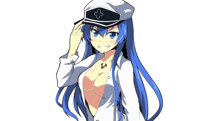 Esdeath, long hair, anime girls, Akame ga Kill, looking at viewer, cleavage, smiling, blue hair, blue eyes, hat, anime, open shirt