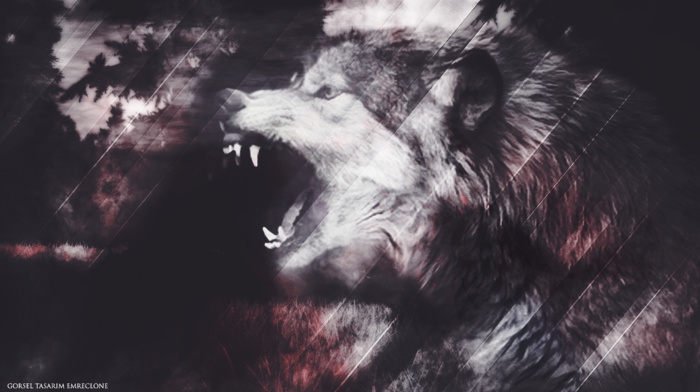wolf, Lycan