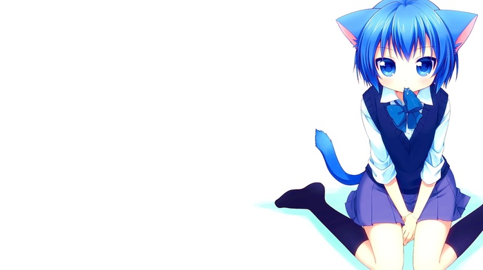 nekomimi, white background, original characters, cat girl, anime, anime girls, short hair, blue hair