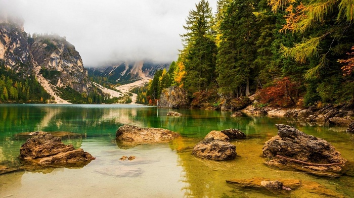forest, overcast, mountains, lake, fall, landscape, Alps, nature, trees