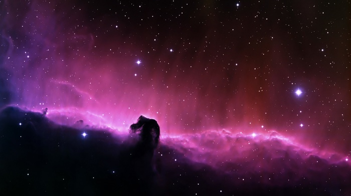 stars, space, nebula, Horsehead Nebula
