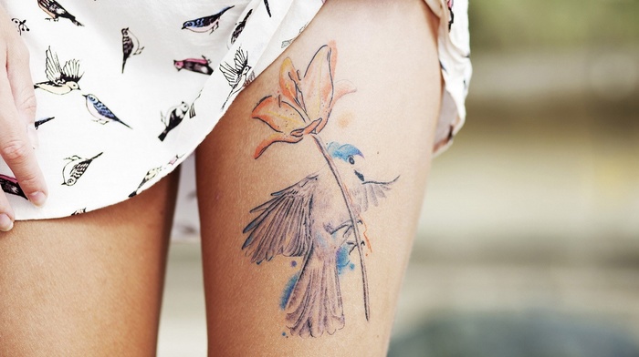 girl, tattoo, legs, birds
