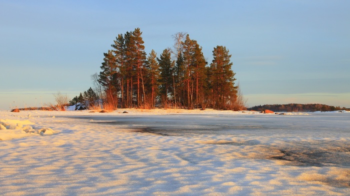 trees, landscape, winter