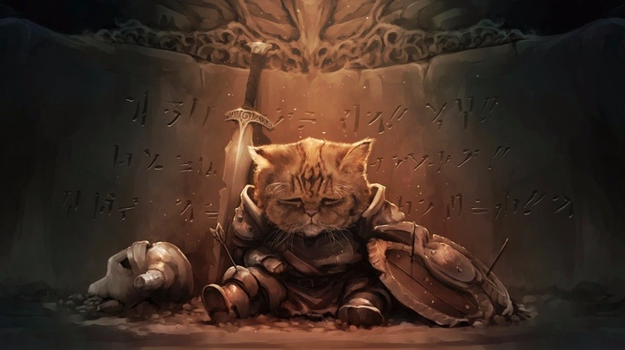 cat, the elder scrolls v skyrim