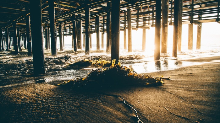 seaweed, sunset, sunlight, california, pier, beach, sand