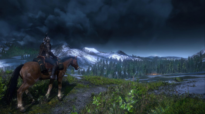 looking into the distance, The Witcher 3 Wild Hunt