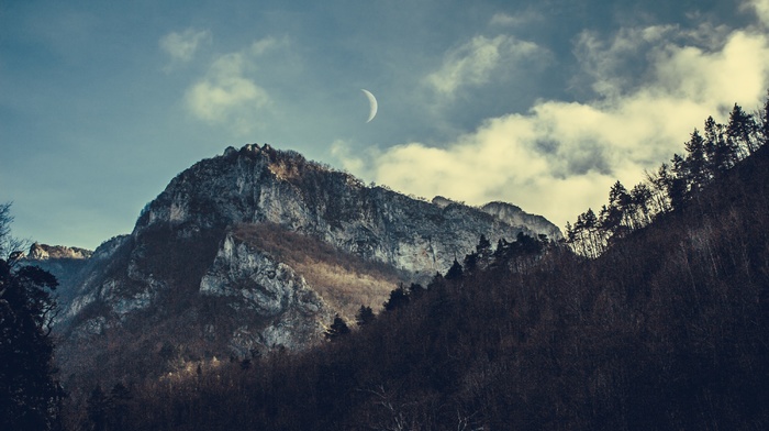 moon, mountains, forest