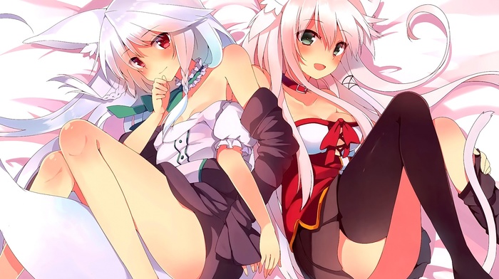 original characters, ass, anime girls, anime, blonde, thigh, highs, Anceril Sacred, long hair, red eyes, in bed, Tierra Azur, green eyes, animal ears