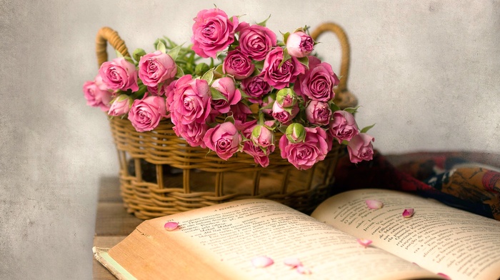 rose, flowers, books, baskets, pink flowers
