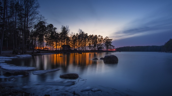 trees, landscape, nature