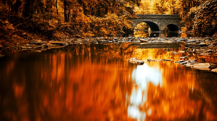 river, landscape