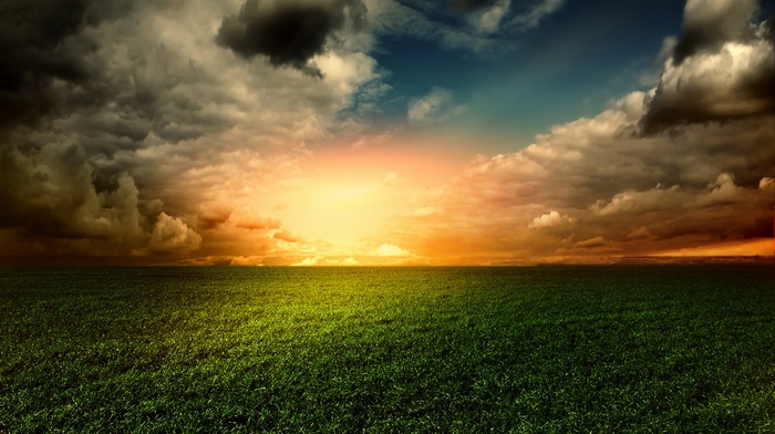 clouds, grass