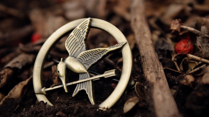 ground, The Hunger Games, Pin, closeup