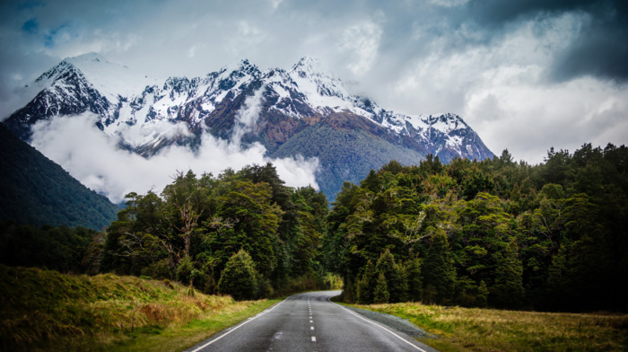 New Zealand, clouds, forest, landscape, road, mountains